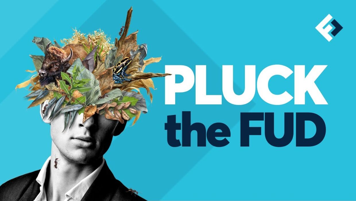 "Pluck the FUD" How to overcome Fear, Uncertainty and Doubt